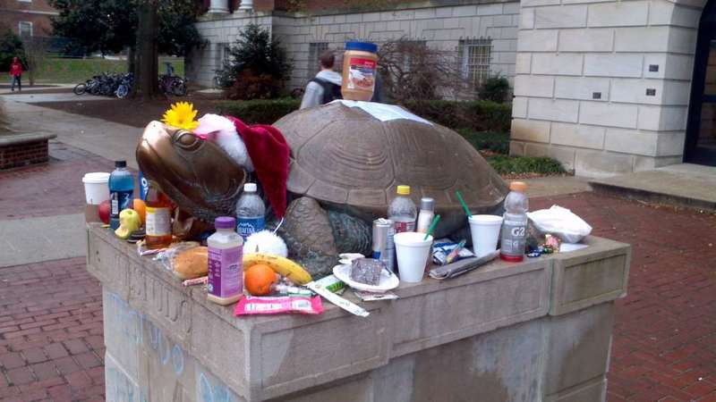 Testudo with offerings.jpg